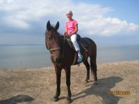 Конкурсы и кроссворды