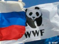 WWF в России
