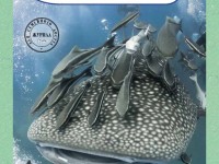 К нам плывёт апрельский номер!